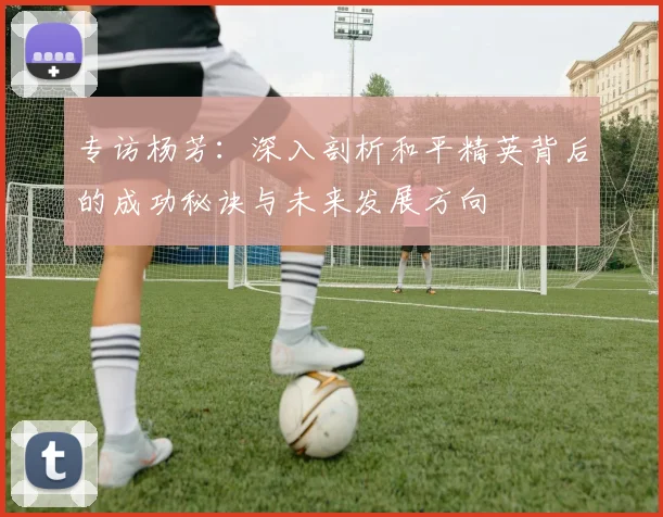 专访杨芳：深入剖析和平精英背后的成功秘诀与未来发展方向