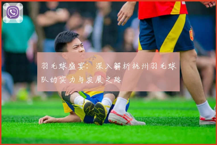 羽毛球盛宴：深入解析杭州羽毛球队的实力与发展之路