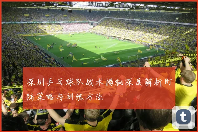 深圳乒乓球队战术揭秘深度解析盯防策略与训练方法
