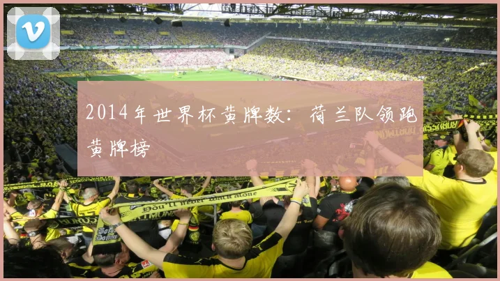 2014年世界杯黄牌数：荷兰队领跑黄牌榜
